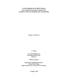 Schwarck, N. T. 1999. Carbon Budgets of the Bulb