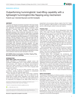Outperforming hummingbirds` load-lifting capability