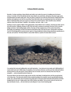 A House Martin`s journey. - Abbots Leigh Wildlife Group