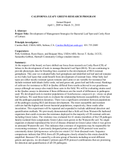 CALIFORNIA LEAFY GREENS RESEARCH BOARD