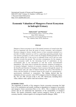 Economic Valuation of Mangrove Forest Ecosystem in Indragiri