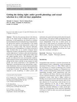 Getting the timing right: antler growth phenology and sexual