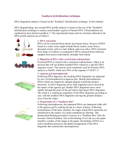 Southern hybridization technique