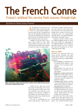 France`s Wildland Fire Service Finds Success Through High