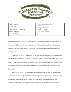 CSA Veggies 7/6 - Gallatin Valley Botanical