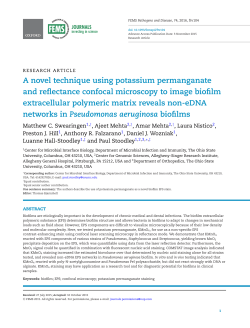 A novel technique using potassium permanganate and reflectance