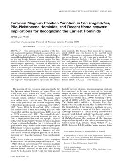 Foramen magnum position variation in Pan troglodytes, Plio
