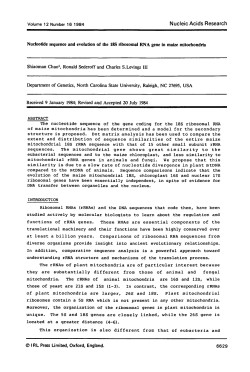 Nucleotide sequence and evolution of the 18S ribosomal RNA gene