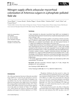 Nitrogen supply affects arbuscular mycorrhizal colonization of