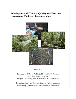 Development of Wetland Quality and Function Assessment Tools