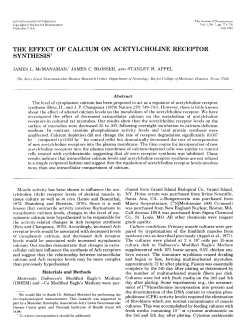 the effect of calcium on acetylcholine receptor synthesis