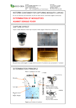 EXTERMINATION OF MOSQUITOES AGAINST DENGUE FEVER