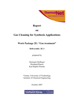 Report on Gas Cleaning for Synthesis Applications