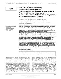 Thermoactinomyces candidus as a synonym of Thermoactinomyces