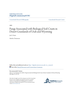 Fungi Associated with Biological Soil Crusts in Desert Grasslands of