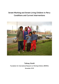 Street-Working and Street-Living Children in Peru