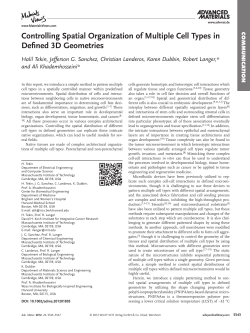 Controlling Spatial Organization of Multiple Cell Types in Defined