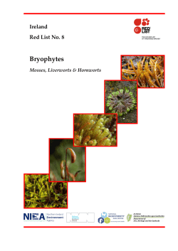Bryophytes