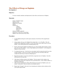 The Effects of Drugs on Daphnia