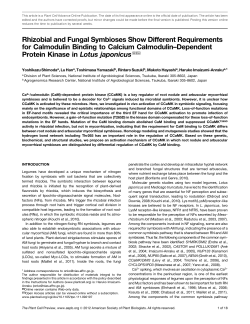 Rhizobial and Fungal Symbioses Show Different