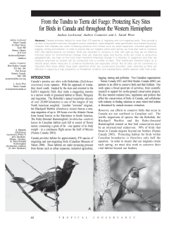 From the Tundra to Tierra del Fuego: Protecting Key Sites for Birds