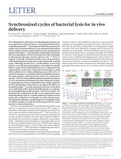 Synchronized cycles of bacterial lysis for in vivo delivery