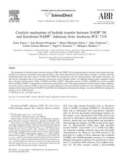 Catalytic mechanism of hydride transfer between NADP /H