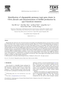Identification of oligopeptide permease (opp) gene cluster in Vibrio