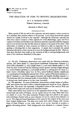 the reaction of fish to moving backgrounds