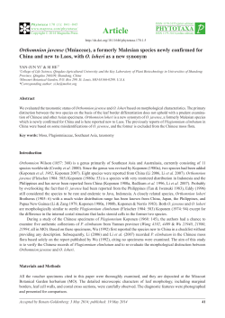 Preview - Magnolia press