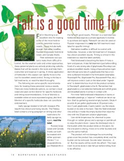 Fall is a good time for weed management