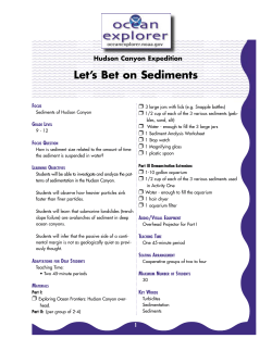 Let`s Bet on Sediments