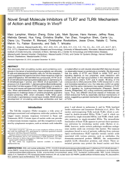 Novel Small Molecule Inhibitors of TLR7 and TLR9: Mechanism of