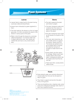 Plant Systems - Singapore Asia Publishers