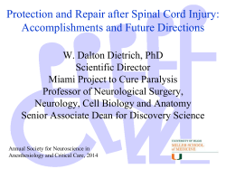Spinal Cord Injury