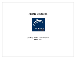 Plastic Pollution - oceanateachbz.com