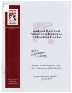 Least-Cost Cheap-Food Policies: Some