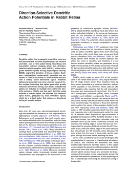 Direction-Selective Dendritic Action Potentials in Rabbit Retina