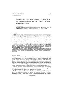 movement, fine structure, and fusion