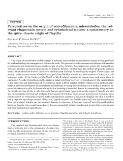 Perspectives on the origin of microfilaments, microtubules