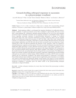 Ground-dwelling arthropod responses to succession