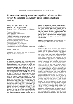 Evidence that the fully assembled capsid of Leishmania RNA virus 1