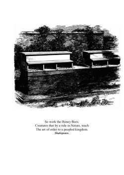 The Hive And The Honey-Bee