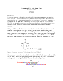 Stretching DNA with Shear Flow