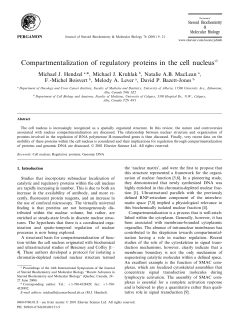 Compartmentalization of regulatory proteins in the cell nucleus