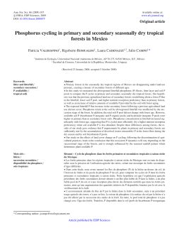 Phosphorus cycling in primary and secondary seasonally dry
