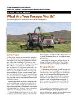What Are Your Forages Worth? - OSU Extension Catalog