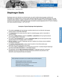 Diaphragm Seals - WIKA Instrument, LP