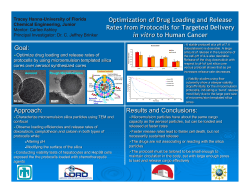 REU 2009 Quad Charts