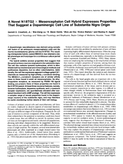 A Novel N18TG2 X Mesencephalon Cell Hybrid Expresses